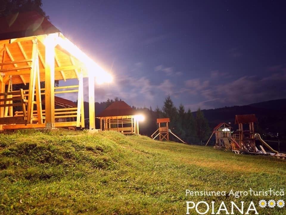 Pensiunea Agroturistica Poiana 포이아나 네그리 외부 사진