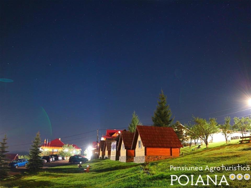 Pensiunea Agroturistica Poiana 포이아나 네그리 외부 사진